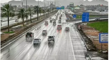 عاصفة مدمرة تضرب 8 مناطق في المملكة مع أمطار رعدية وبرد كثيف يعيق الرؤية 1